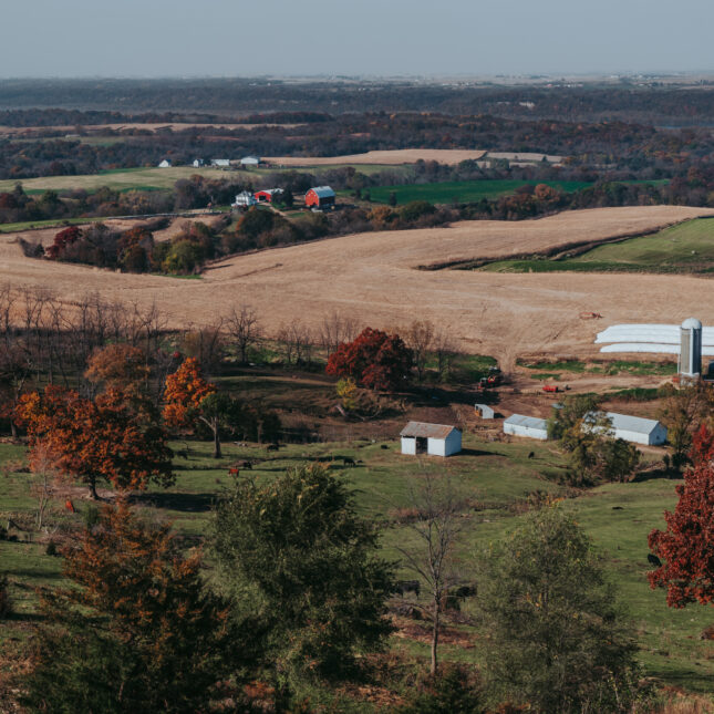 A rural farmland scene consists of trees with autumn leaves, grassy areas with cows, dry lands, and a few barns — first opinion coverage from STAT