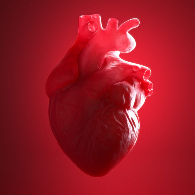 A 3D human heart lit by red rim light — health coverage from STAT