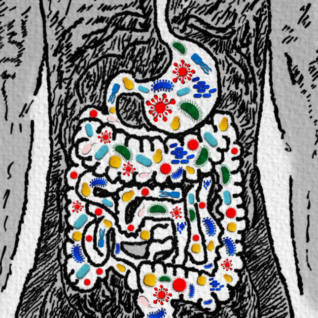 An illustration of a human torso, through which the intestines, multicolored, are visible.