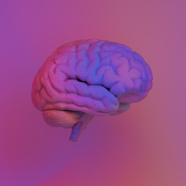 A gradient lighting of purple, blue, and pink is projected on a 3D brain model, floating in an environment illuminated with similar colored light — in the lab coverage from STAT