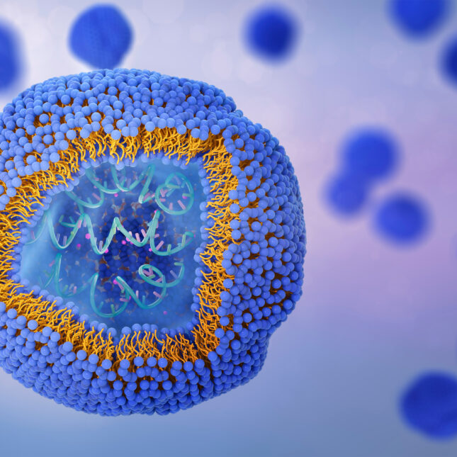 3D illustration of Liposome cross-section with molecules and RNA enclosed by a lipid bilayer formed by phospholipids. Liposomes can be used as drug delivery vehicles