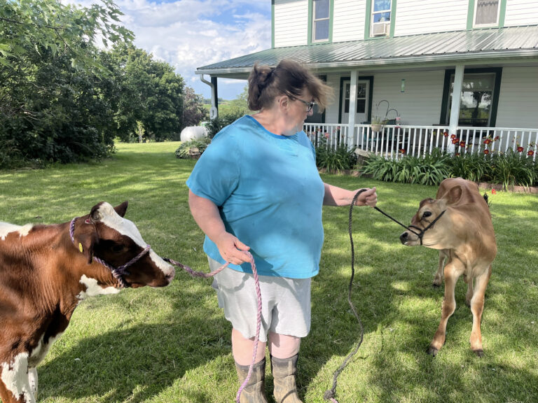 Peggy Sparrgrove handles two of her cows on the front lawn of her home in Iowa.